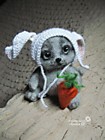 Зайцекотик тедди